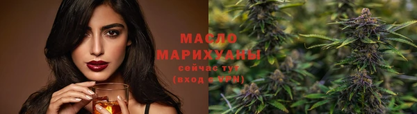 гидра Зеленодольск