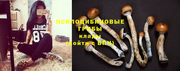 гидра Зеленодольск