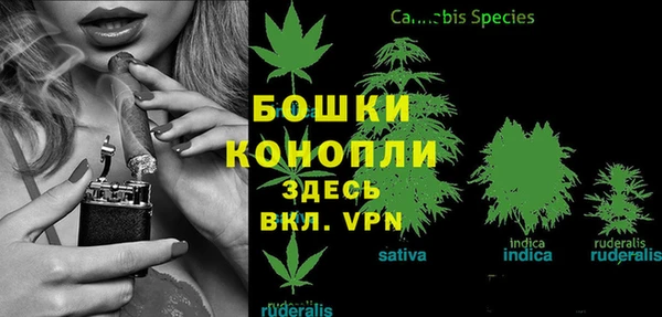 гидра Зеленодольск