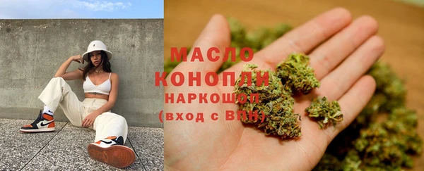 гидра Зеленодольск