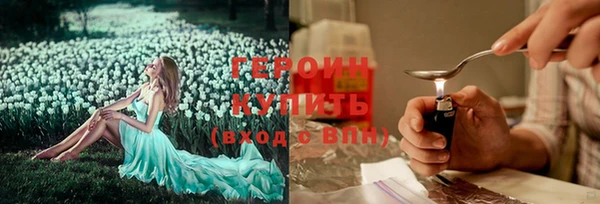 гидра Зеленодольск