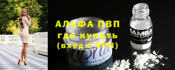 спиды Зеленокумск