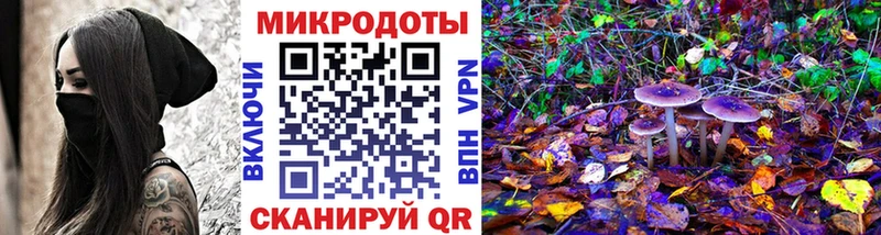 Псилоцибиновые грибы Psilocybe Канаш