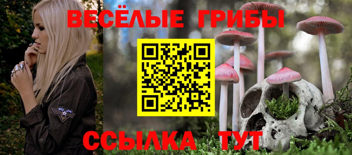 Псилоцибиновые грибы Psilocybine cubensis Канаш
