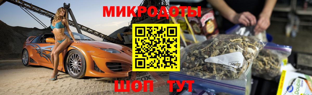 APVP Канаш