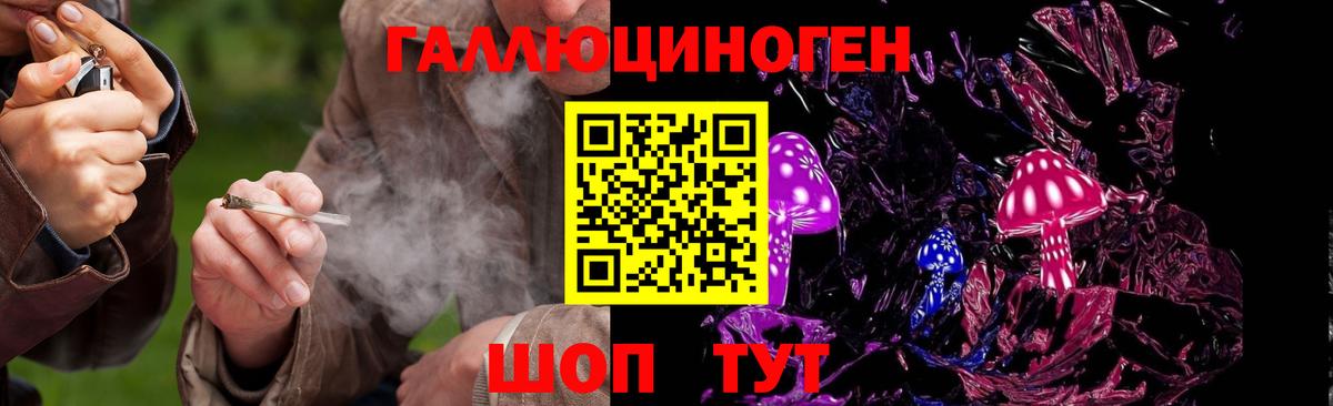 Галлюциногенные грибы ЛСД  Вход с VPN  Канаш 